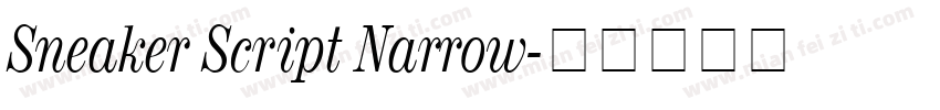 Sneaker Script Narrow字体转换